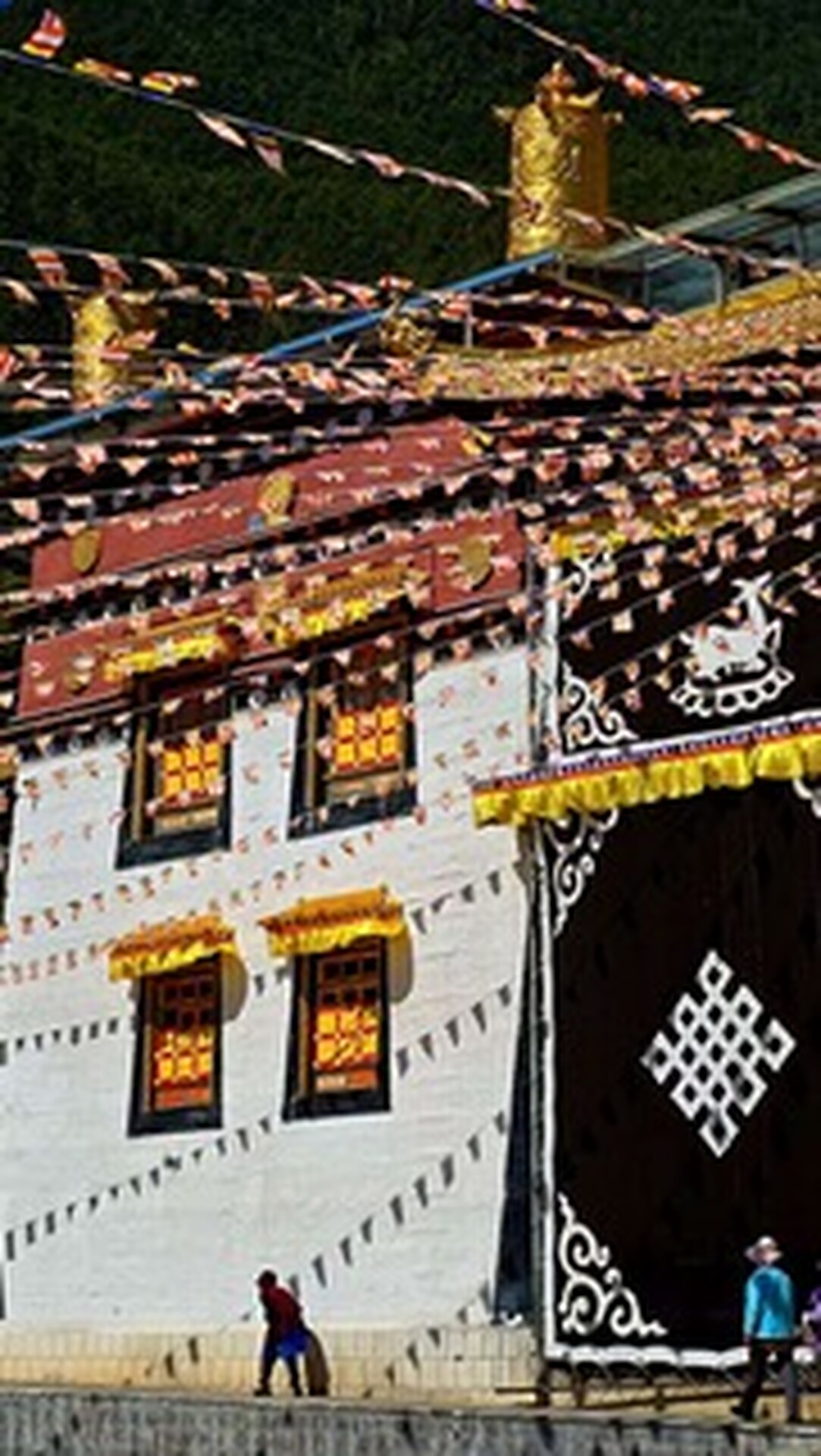 Voyage immersif en Chine
